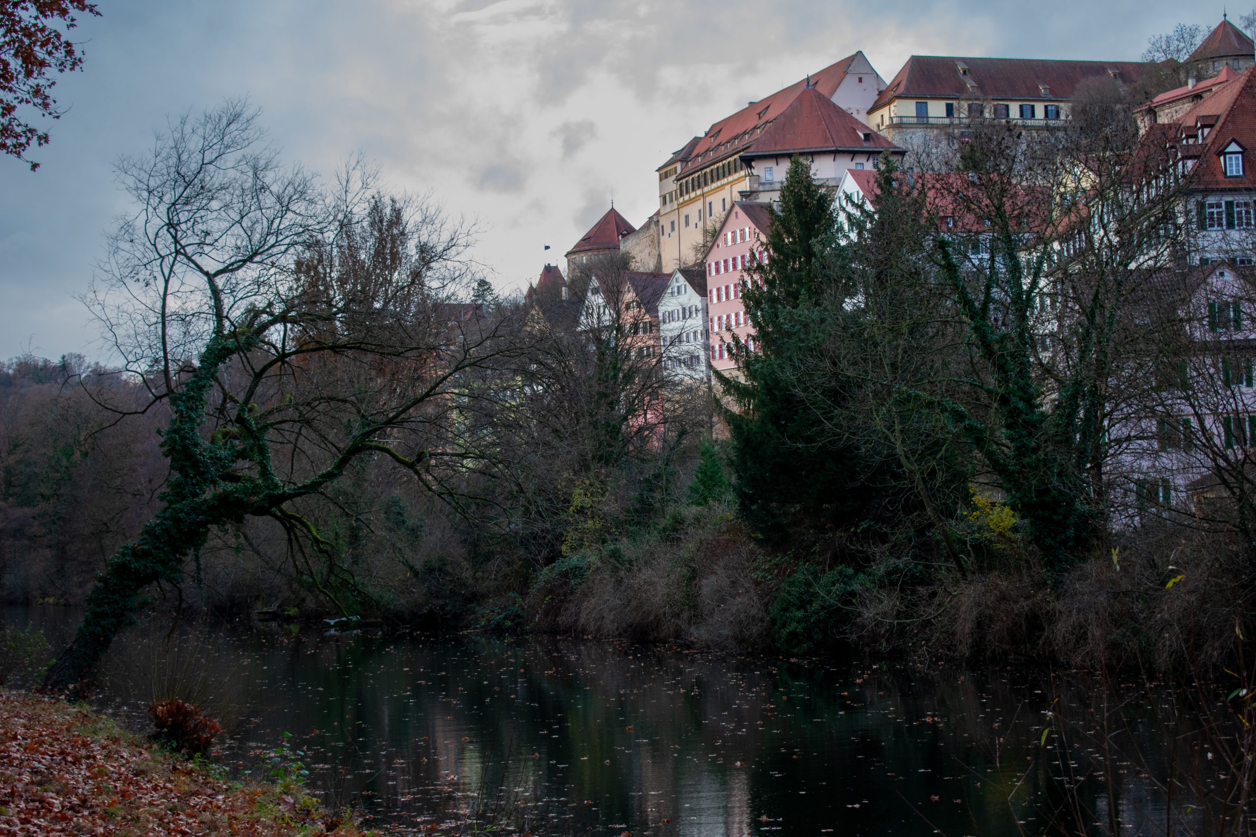 Energieeffizienz erhöhen: Wie der Grenzhof Heidelberg Ihnen hilft!
